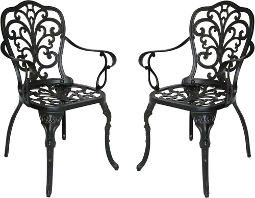 Christopher Knight Home Buddy Silla de comedor de aluminio fundido para exteriores (juego de 2), cobre brillante