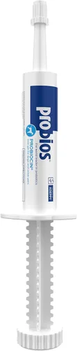 Probios Probiocin - Gel probiótico oral para perros y gatos, suplemento de apoyo digestivo e inmunológico, fácil administración de jeringas,