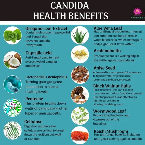 Vista 4 de Candida Support - Ayuda a la Digestión, Problemas Intestinales - 180 Cápsulas - por Dr. Valerie Nelson