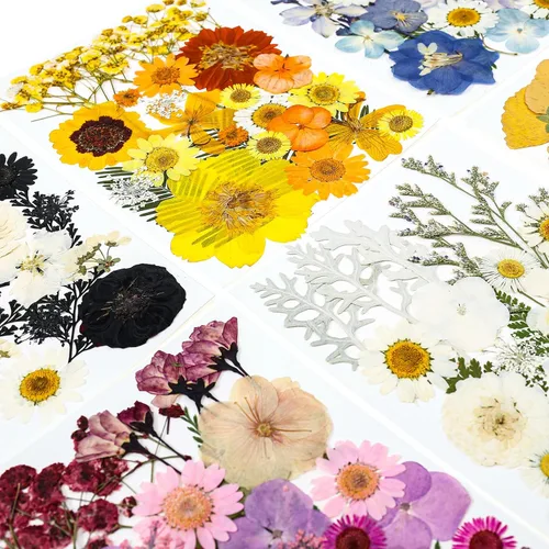 Vista 2 de 150 piezas de flores prensadas para manualidades, flores secas coloridas para manualidades, flores secas prensadas naturales reales, hojas secas a