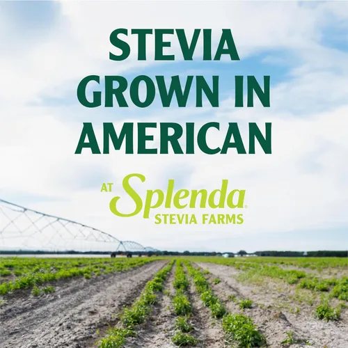 Vista 5 de SPLENDA Naturals Stevia - Edulcorante sin calorías