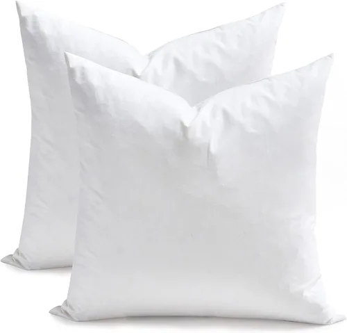 TOPGREEN Rellenos de Almohada de Plumas y Plumón 12 x 12 pulgadas, Juego de 2, Funda de Algodón 100% Orgánico, Almohadas Decorativas Cuadradas